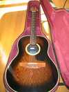 Ovation Applause 12 strings.jpg